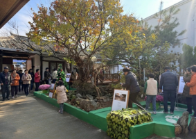 AI로 되살린 '지역의 감성', 경산 자인에서 새 예술의 형태 눈길