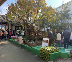 AI로 되살린 '지역의 감성', 경산 자인에서 새 예술의 형태 눈길